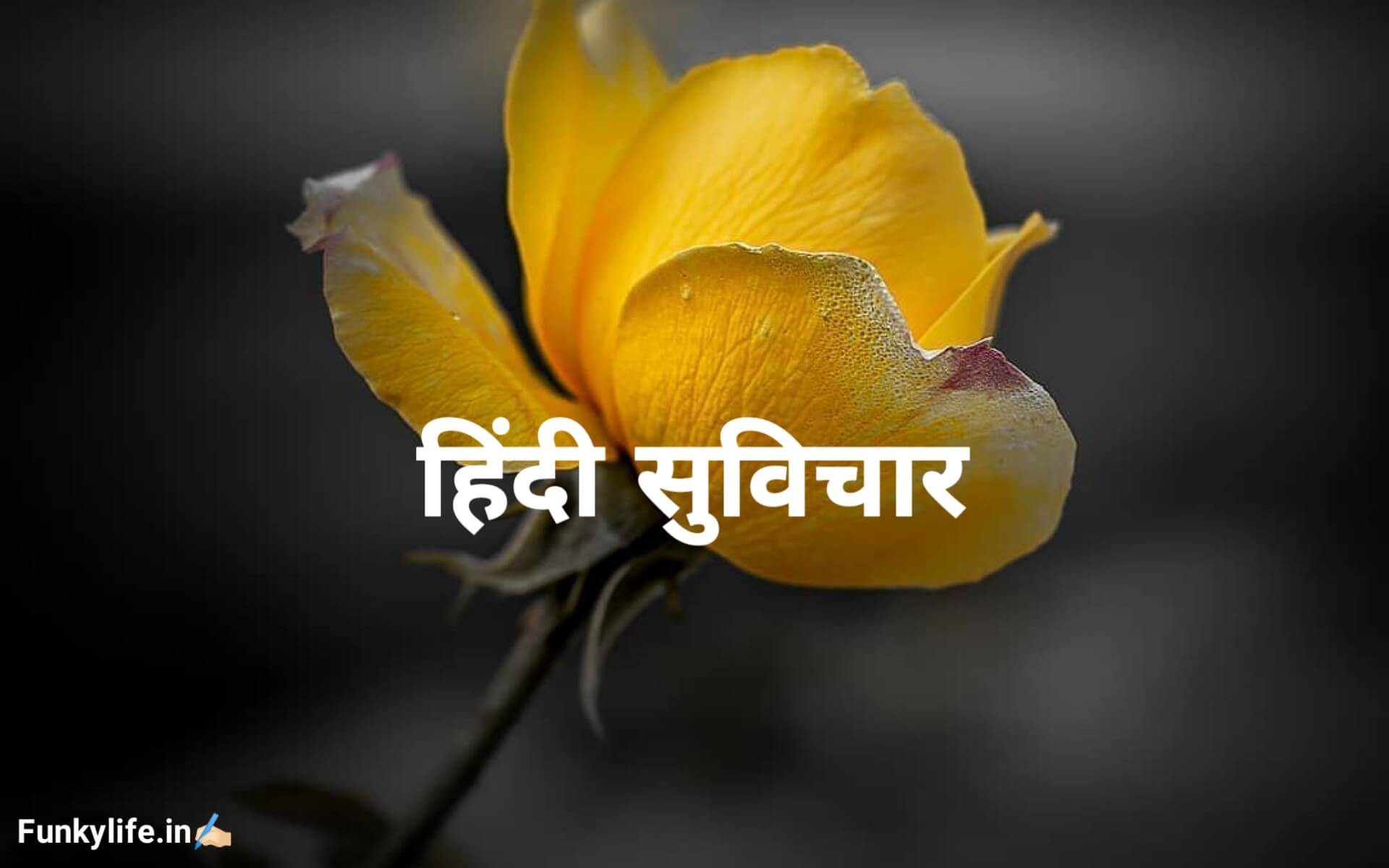 Latest Hindi Suvichar, Good Thoughts, Whatsapp Status Pictures & Wallpapers  | Share Pics Hub