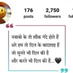 Best Instagram Bio Shayari