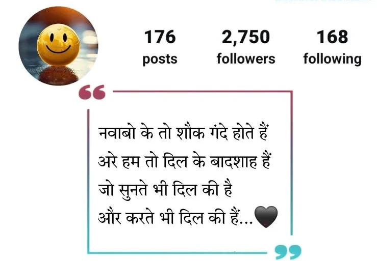 Best Instagram Bio Shayari